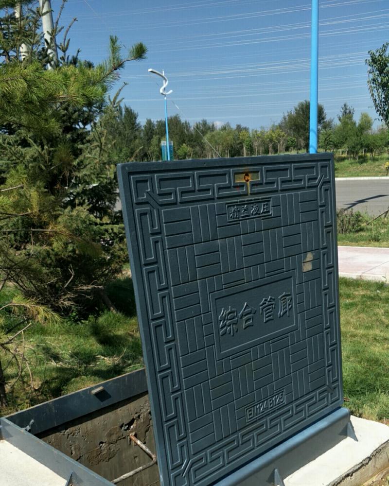 内(nei)蒙古(gu)現場(chang)